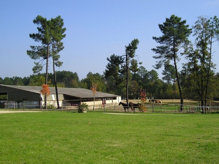 מלון Saint-Julien-de-Crempse Manoir Du Grand Vignoble מראה חיצוני תמונה