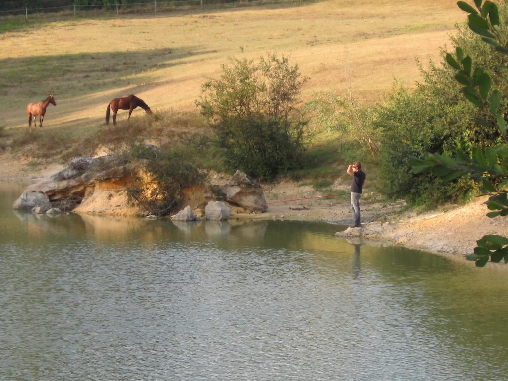 מלון Saint-Julien-de-Crempse Manoir Du Grand Vignoble מראה חיצוני תמונה