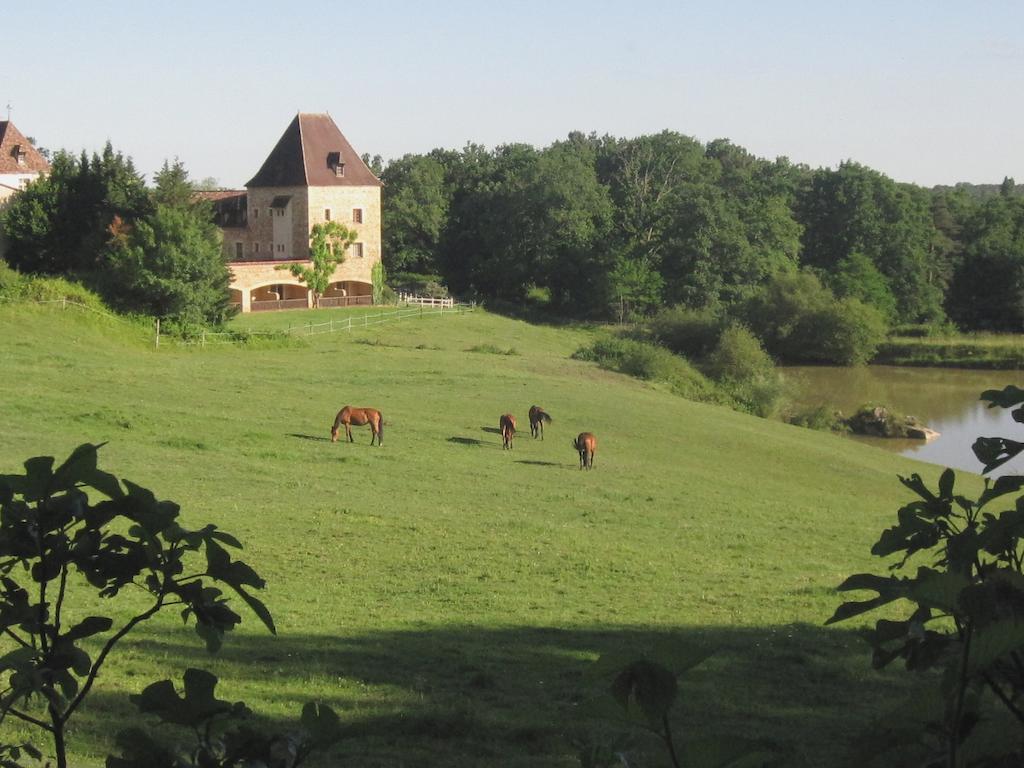 מלון Saint-Julien-de-Crempse Manoir Du Grand Vignoble מראה חיצוני תמונה