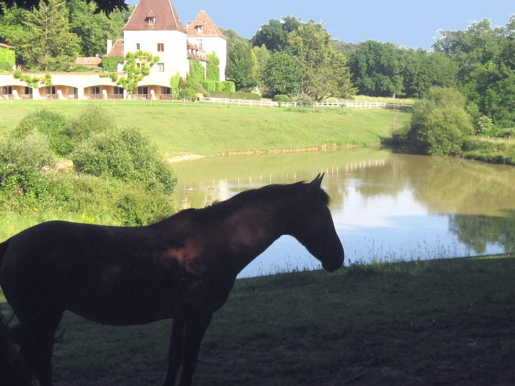 מלון Saint-Julien-de-Crempse Manoir Du Grand Vignoble מראה חיצוני תמונה