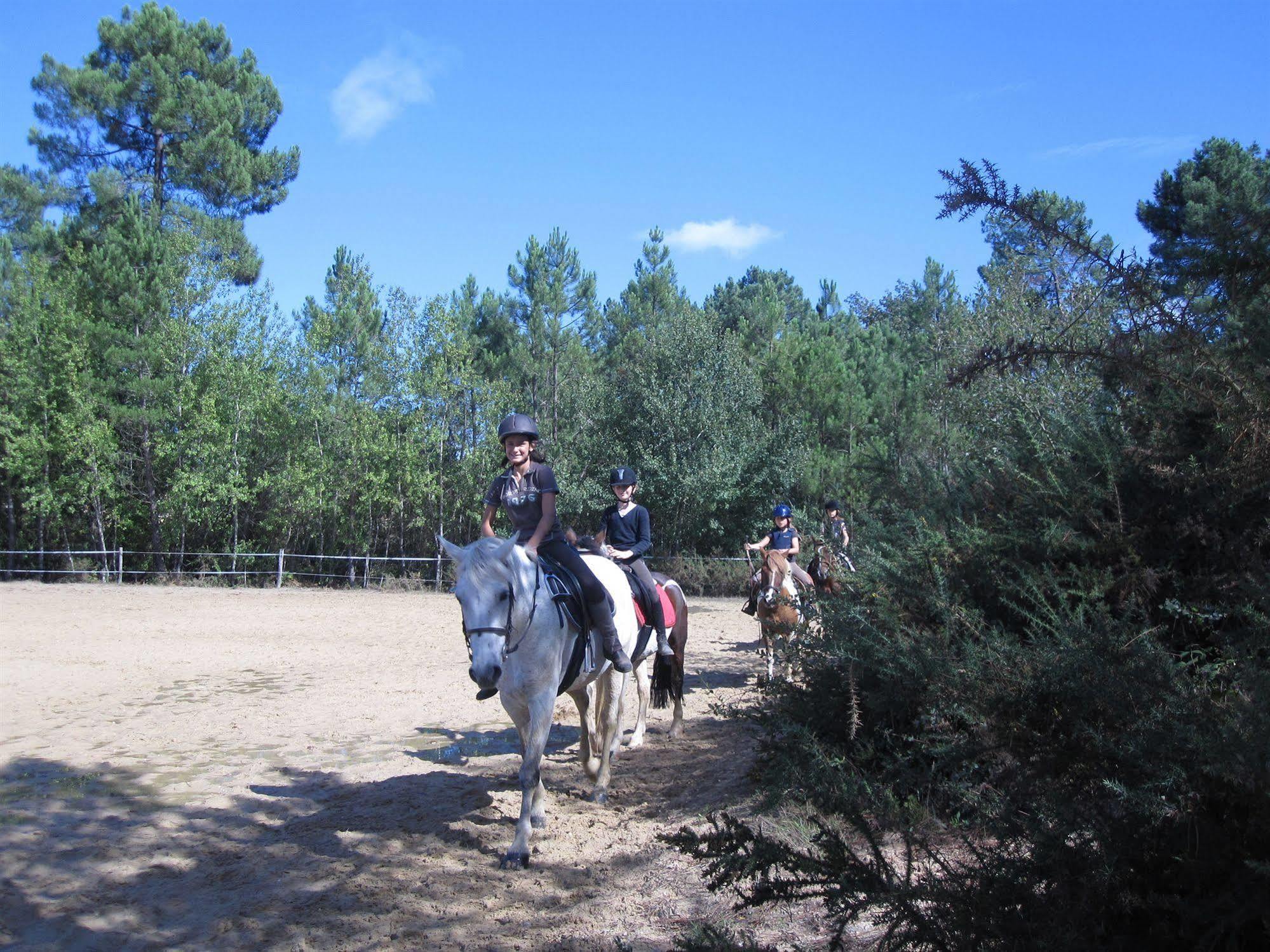 מלון Saint-Julien-de-Crempse Manoir Du Grand Vignoble מראה חיצוני תמונה